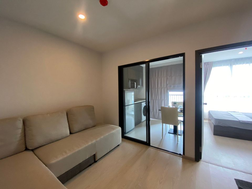 เอลลิโอ เดล เนสท์ 🌟PN-00003701🌟