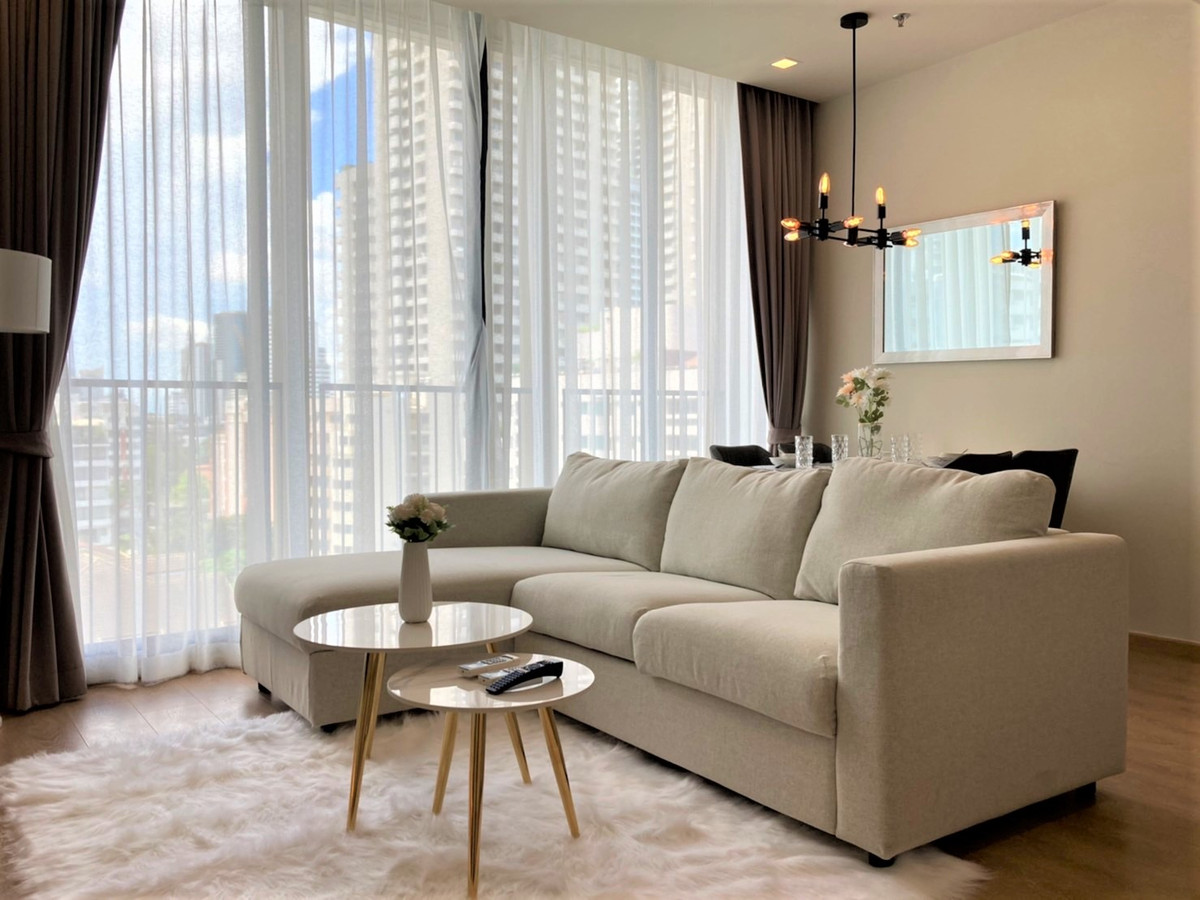 โนเบิล อราวน์ เทอร์ตี้ทรี 🌟PN-00000881🌟