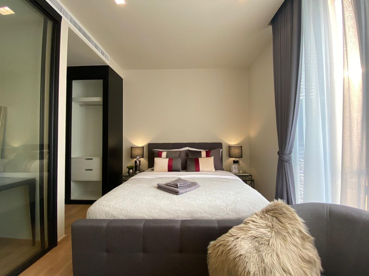 โนเบิล อราวน์ เทอร์ตี้ทรี 🌟PN-00000905🌟