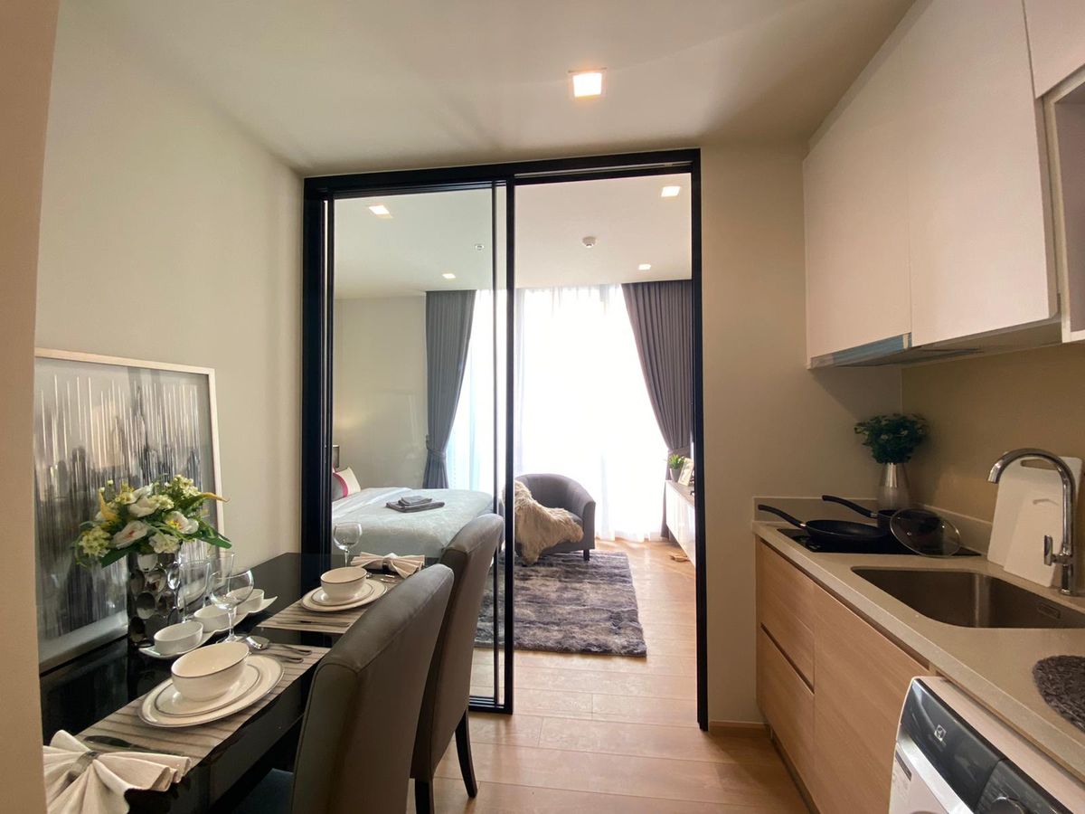 โนเบิล อราวน์ เทอร์ตี้ทรี 🌟PN-00000905🌟