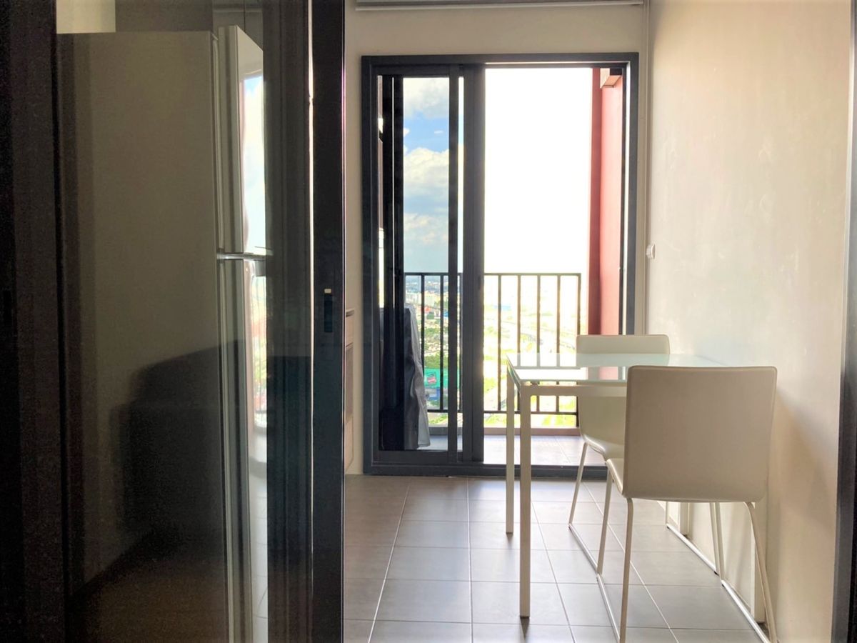 เดอะ เบส การ์เดน พระราม 9 🌟PN-00004574🌟