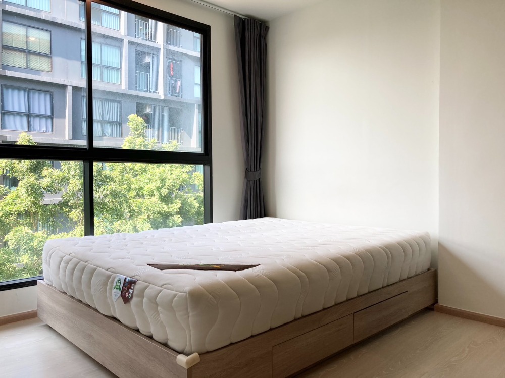 ดิ เอ็กซ์เซล กรูฟ ลาซาล 52 🌟PN-00005383🌟