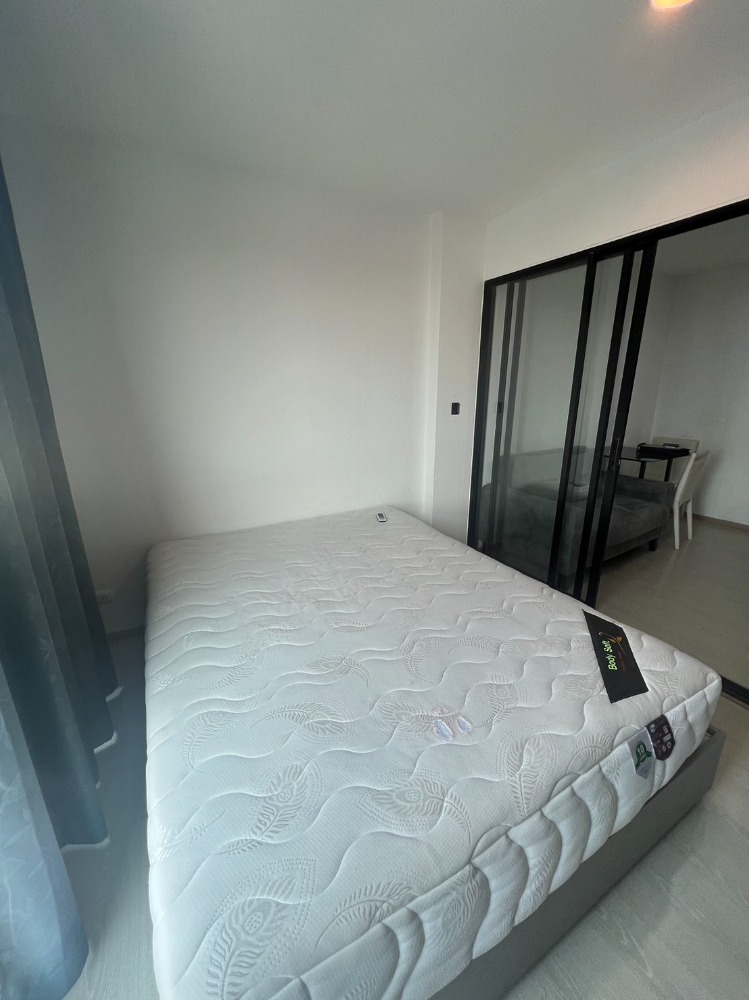 ดิ เอ็กซ์เซล กรูฟ 🌟PN-00005487🌟