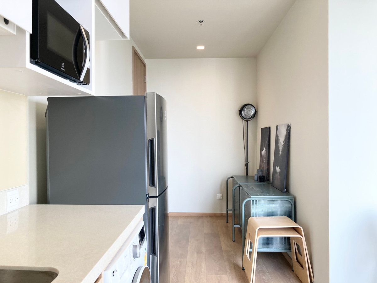 โนเบิล อราวน์ เทอร์ตี้ทรี 🌟PN-00000928🌟