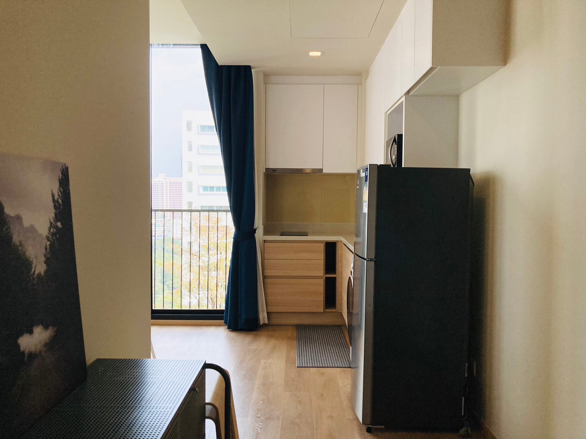 โนเบิล อราวน์ เทอร์ตี้ทรี 🌟PN-00000928🌟