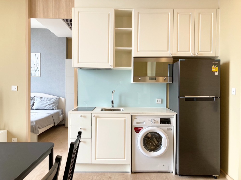 โนเบิล บี 19 🌟PN-00006023🌟