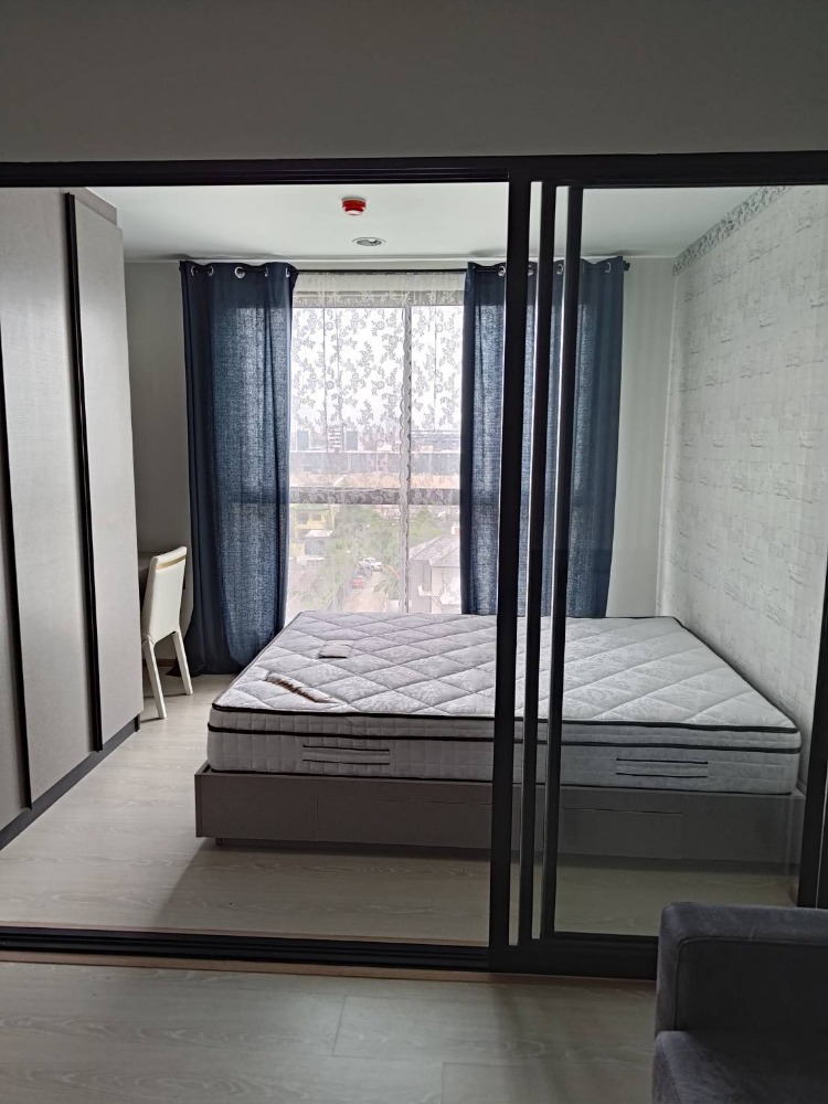 ดิ เอ็กเซล กรูฟ ลาซาล 52 🌟PN-00006423🌟