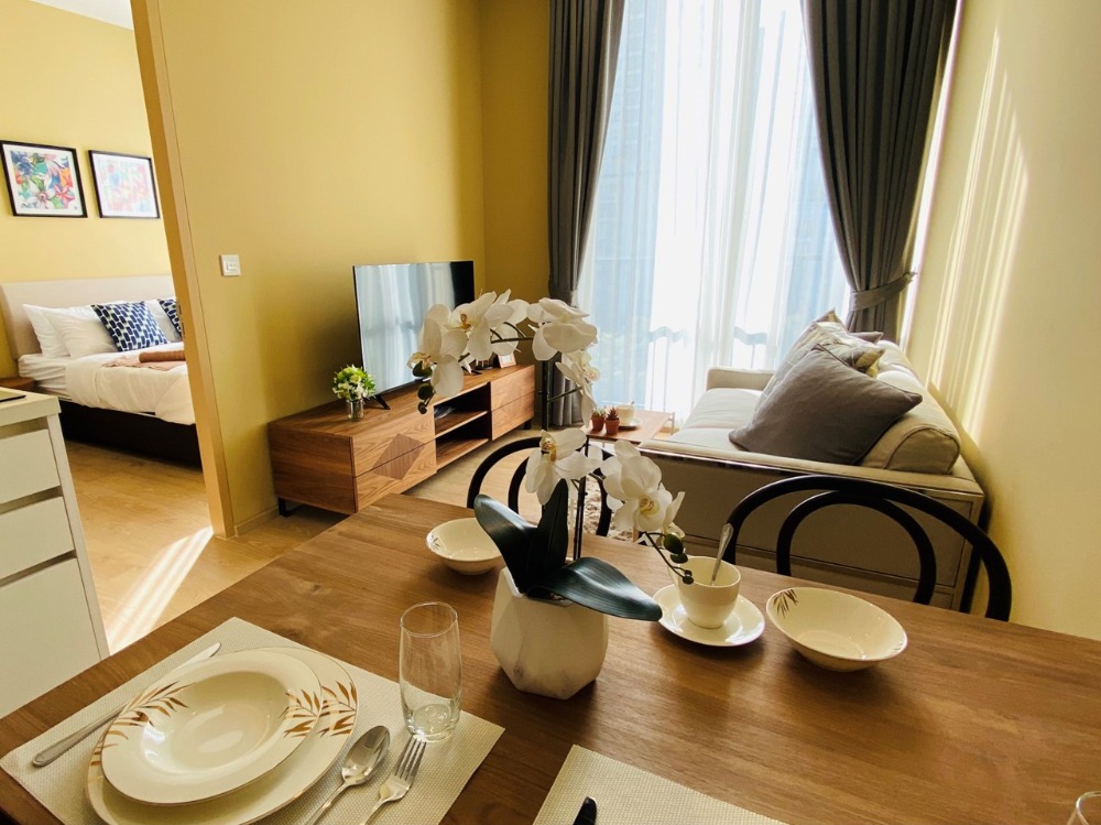 โนเบิล บี 19 🌟PN-00001320🌟