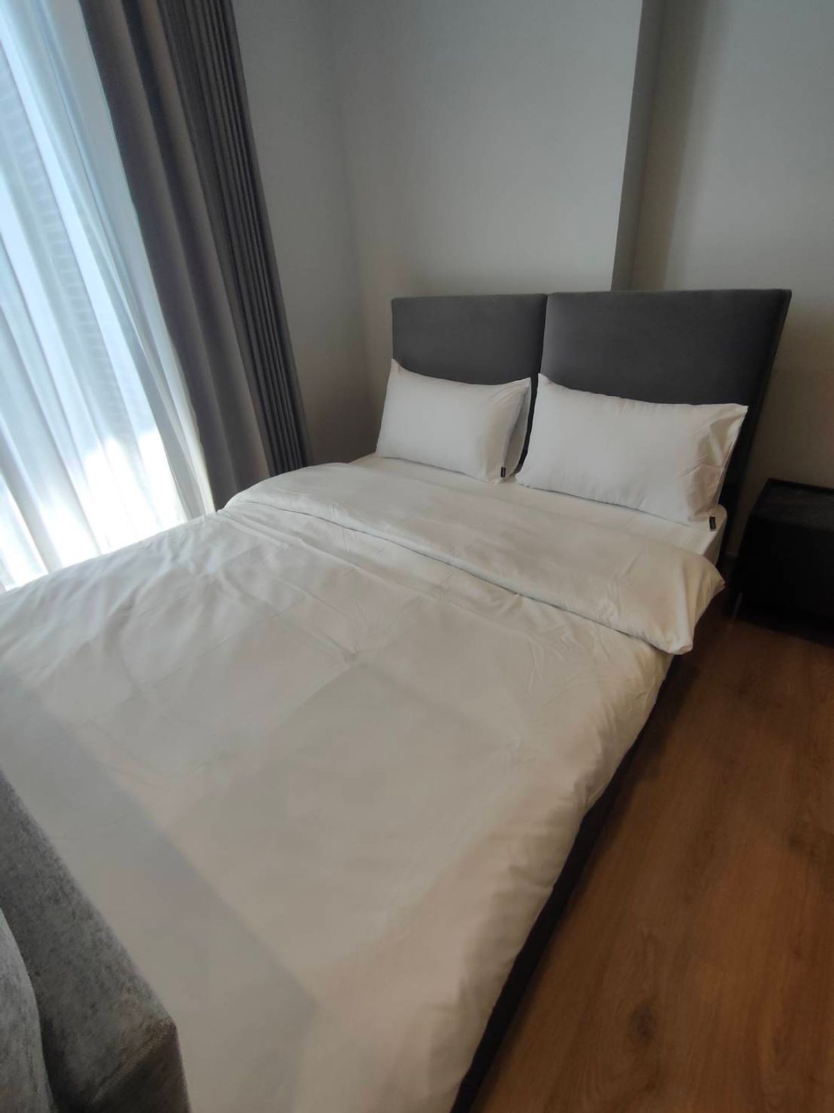 โนเบิล อราวน์ อารีย์🌟PN-00006256🌟