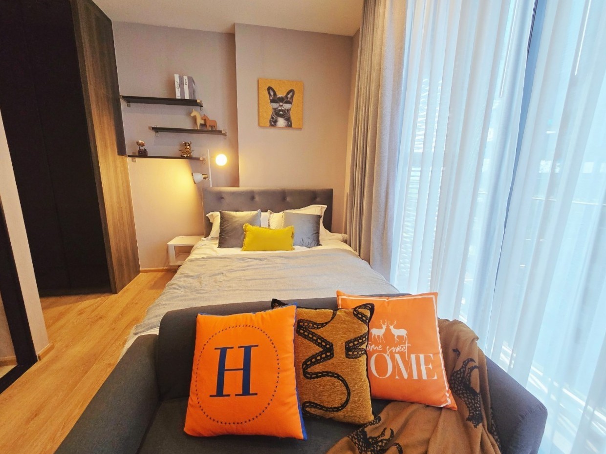 โนเบิล อราวน์ อารีย์🌟PN-00006488🌟