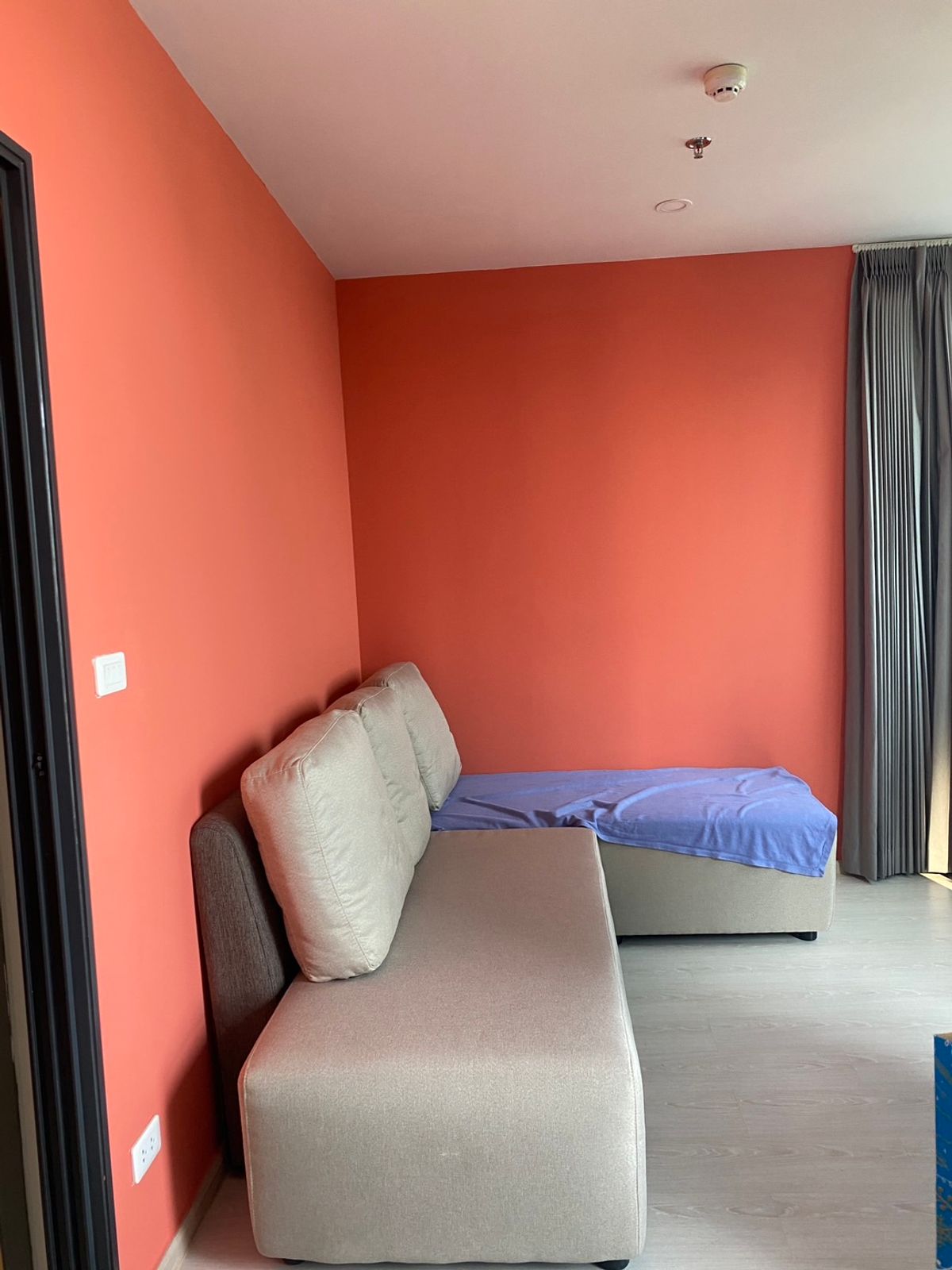 เอลลิโอ เดล เนสท์ 🌟PN-00006057🌟