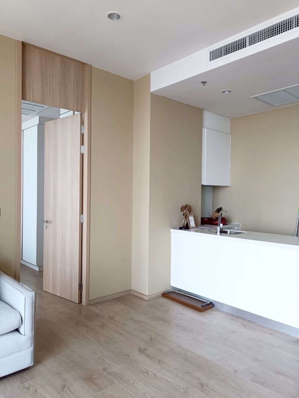 โนเบิล บี19 🌟PN-00001336🌟