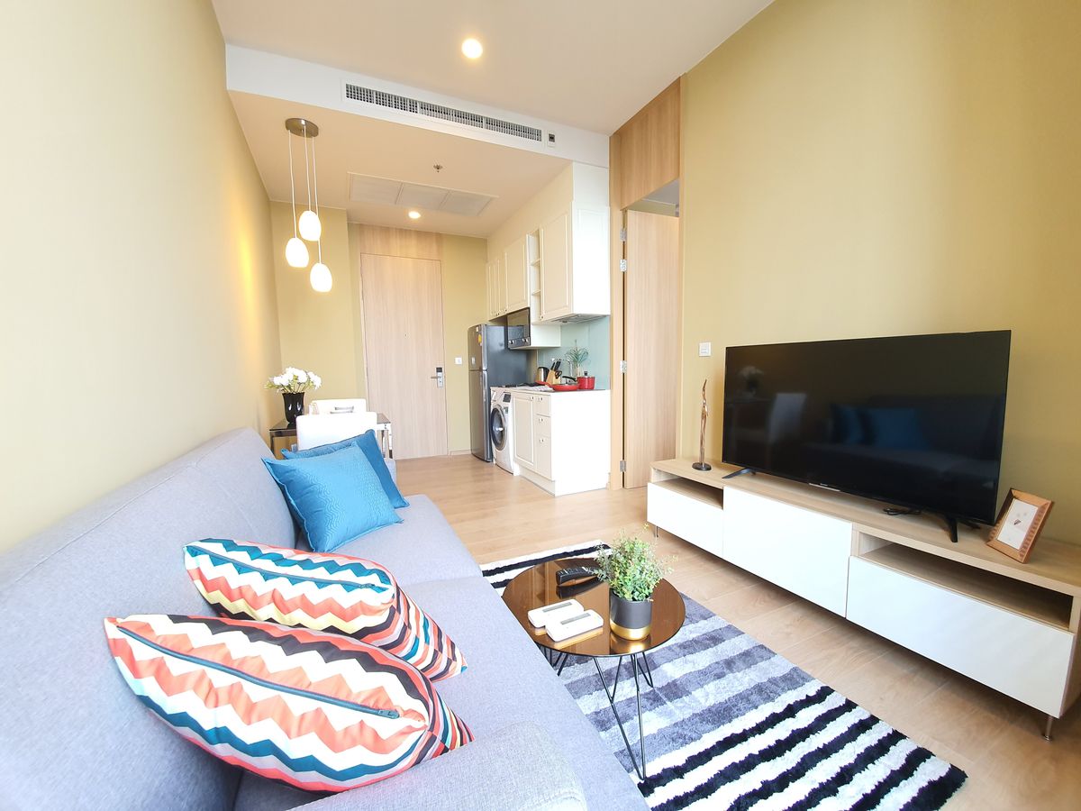 โนเบิล บี 19 🌟PN-00001294🌟