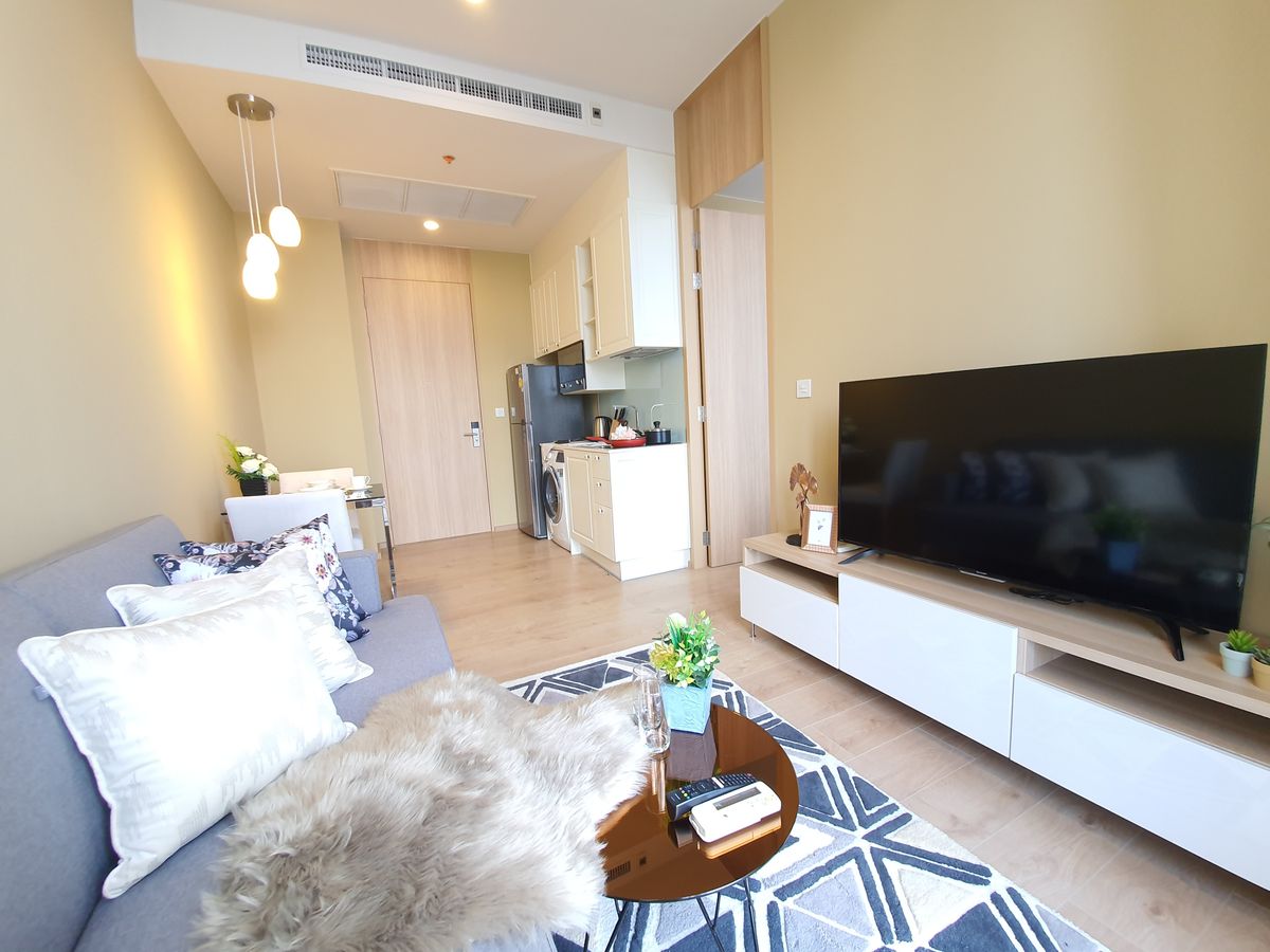 โนเบิล บี 19 🌟PN-00001042🌟