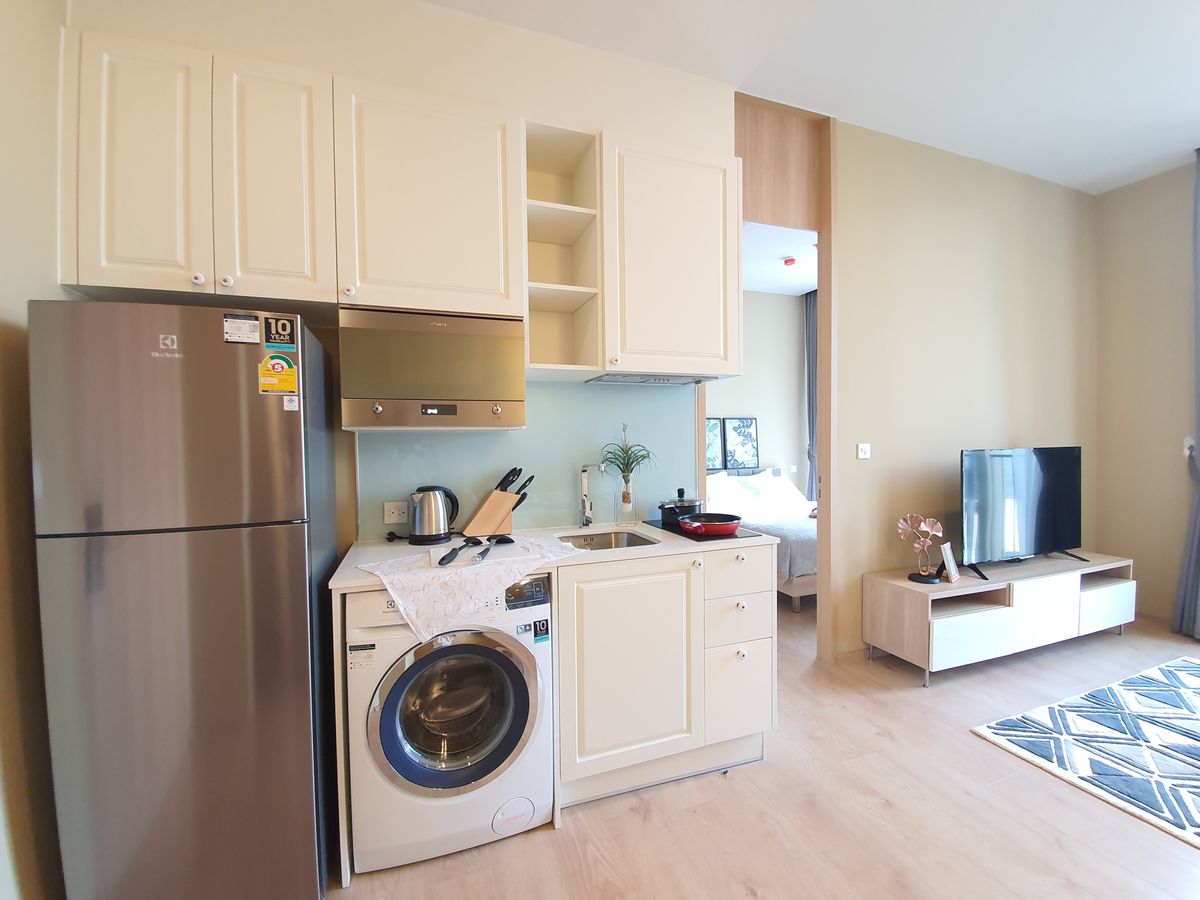 โนเบิล บี 19 🌟PN-00001042🌟