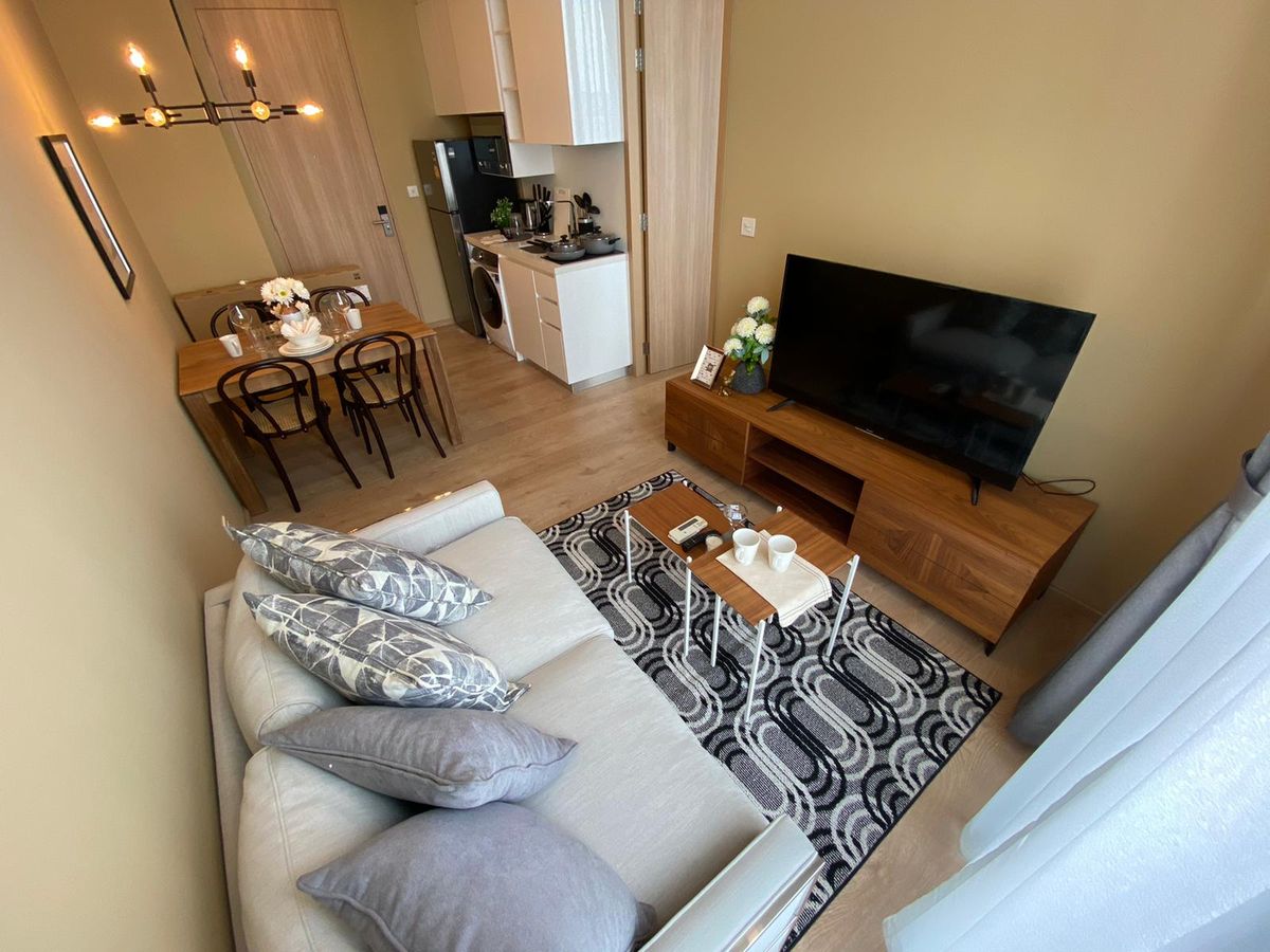 โนเบิล บี 19 🌟PN-00001324🌟