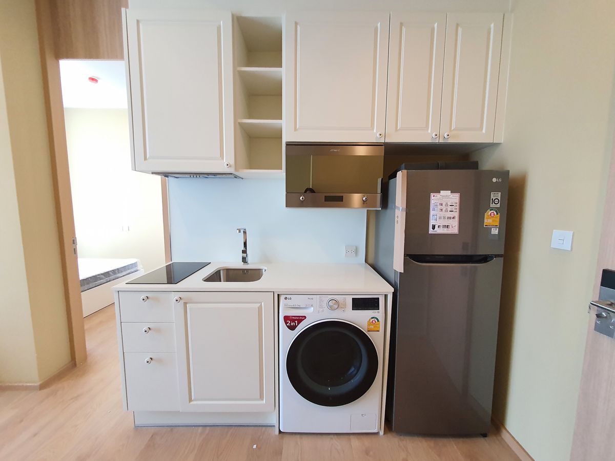 โนเบิล บี19  🌟 PN-00001082 🌟