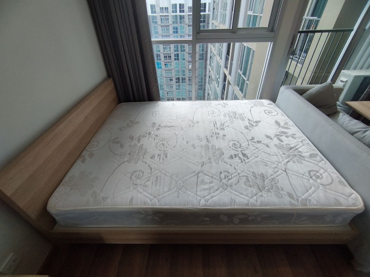 โนเบิล รีวอลฟ์ รัชดา 2 🌟PN-00000208🌟