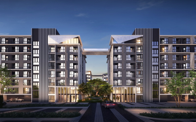 banner-project-details