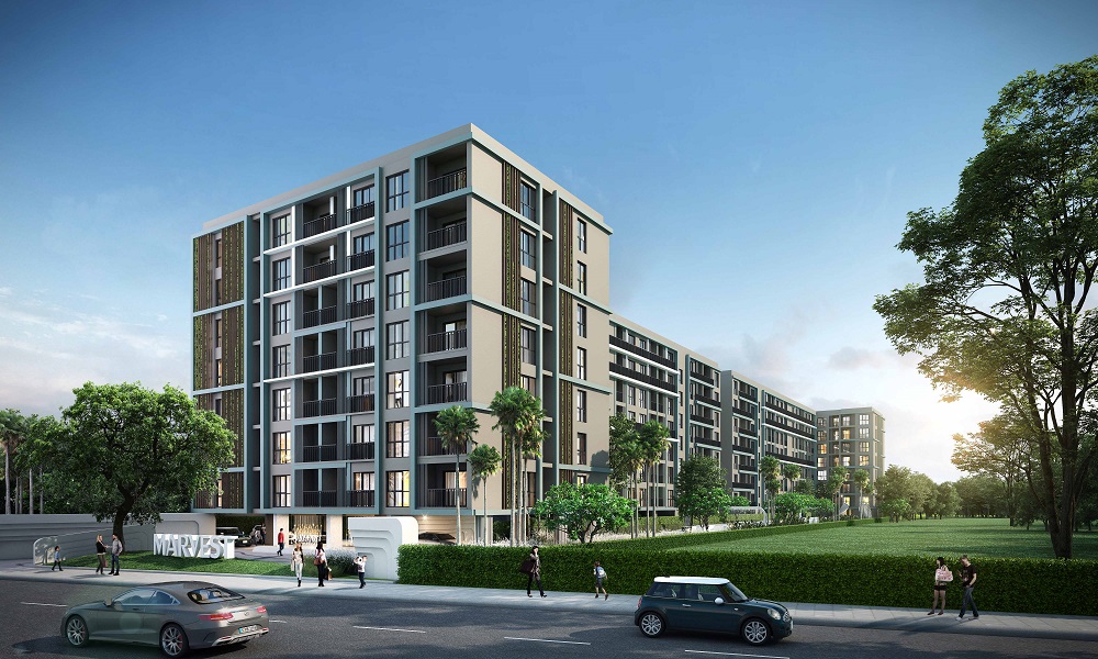 banner-project-details