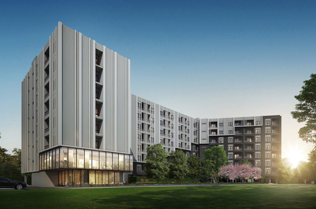 banner-project-details