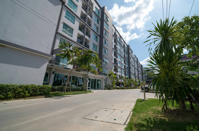 banner-project-details