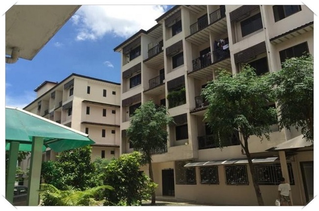 banner-project-details