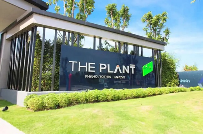 banner-project-details