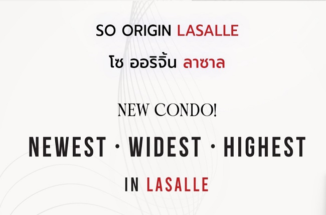 banner-project-details