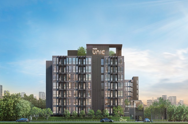 banner-project-details