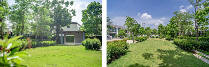 เดอะ-คัลเลอร์ส-กาญจนาภิเษก-ราชพฤกษ์