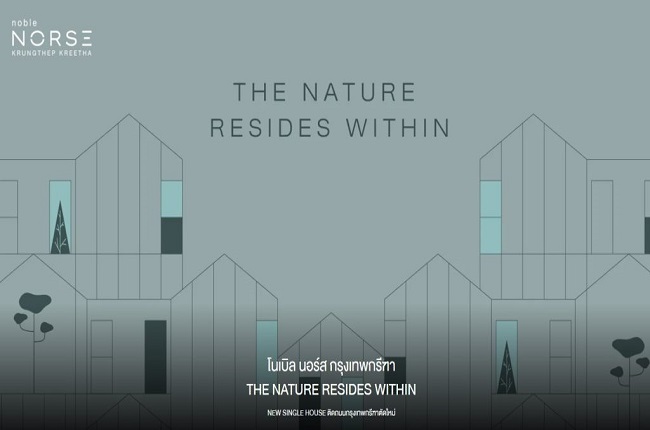 banner-project-details