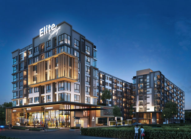 banner-project-details