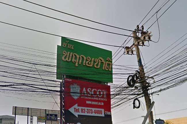 banner-project-details