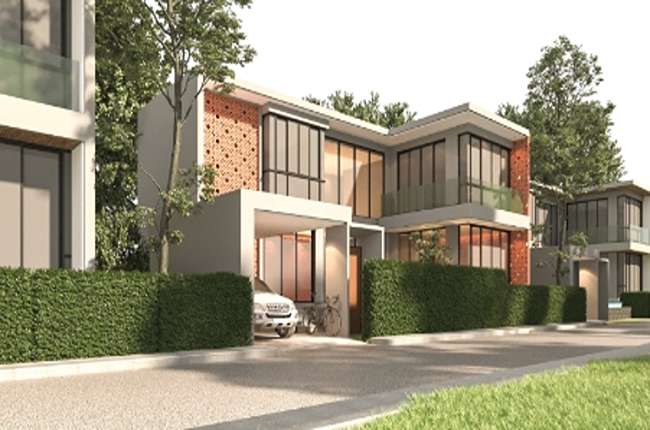 banner-project-details