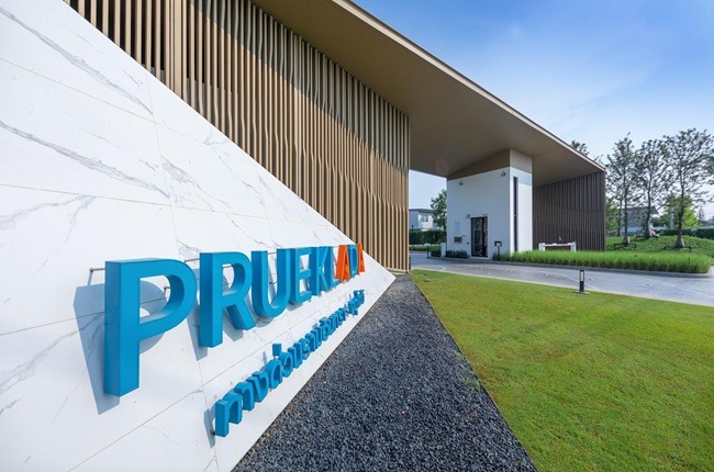 banner-project-details