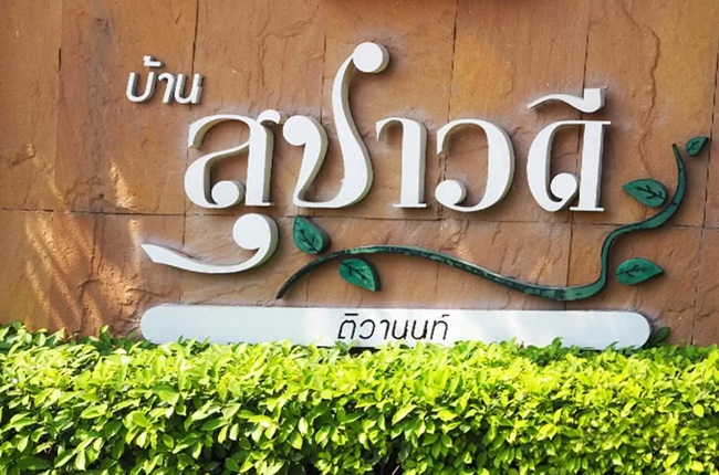 banner-project-details