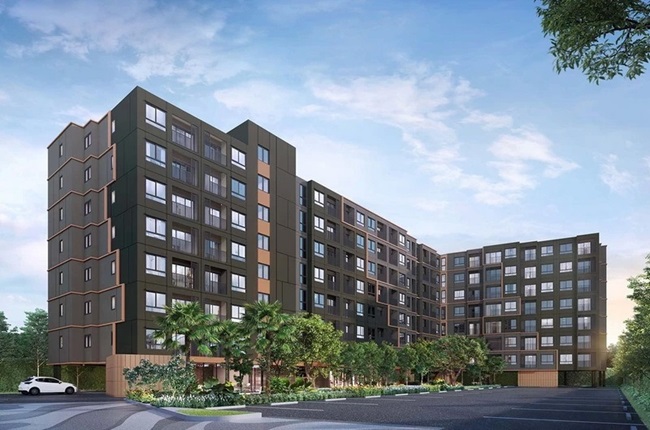 banner-project-details