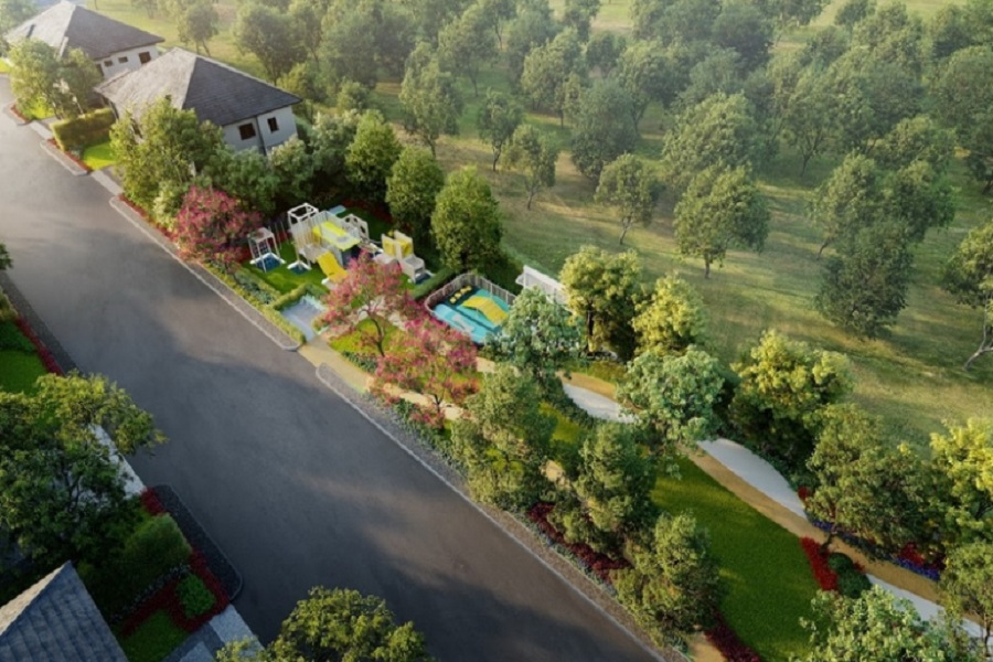 The-Palm-Thawiwattana