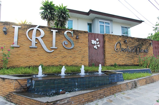 banner-project-details