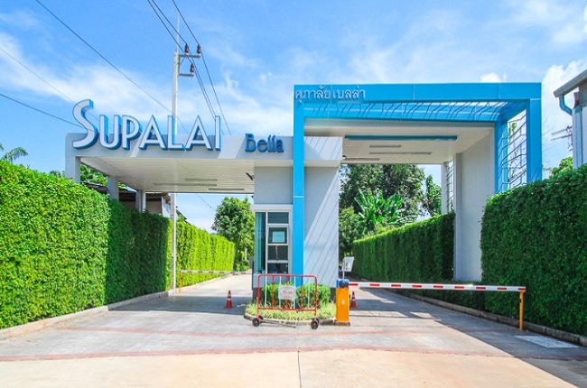 banner-project-details